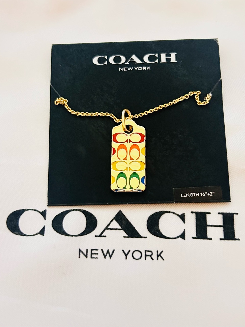 Coach Rainbow Colors Kissing C's Tag Charm Necklace
